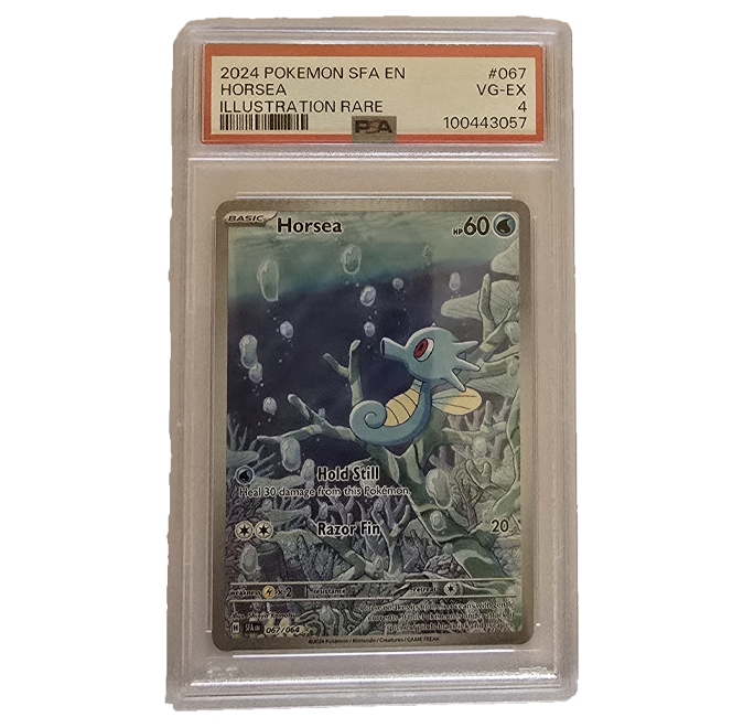 Pokémon TCG Horsea 067/064 Scarlet & Violet Shrouded Fable Illustration Rare PSA 4 CRIMPED ERROR